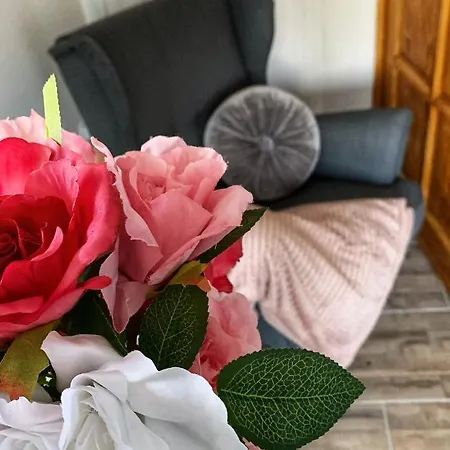 Mátrai Vadászház 3-vintage Apartamento *